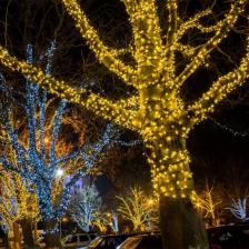 Светодиодная нить Eurosvet 400-102 белый 20м IP65 Светодиодная нить Eurosvet 400-102 белый 20м IP65