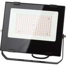 ЭРА Фитопрожектор для растений светодиодный FITO-100W-RB-LED красно-синего спектра 100 Вт, Б0046369 ЭРА Фитопрожектор для растений светодиодный FITO-100W-RB-LED красно-синего спектра 100 Вт, Б0046369