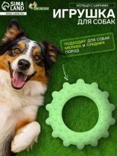 Игрушка жевательная «Кольцо с шипами», TPR, 8.5 см, зелёная Игрушка жевательная «Кольцо с шипами», TPR, 8.5 см, зелёная