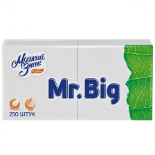 салфетки МЯГКИЙ ЗНАК Mr.Big 1-слойные 24х24см 250шт салфетки МЯГКИЙ ЗНАК Mr.Big 1-слойные 24х24см 250шт