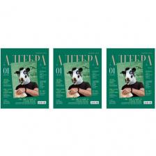 Набор 3 штуки - Тетрадь предметная 48л. BG "Скандальности" - Алгебра, глянцевая ламинация Набор 3 штуки - Тетрадь предметная 48л. BG "Скандальности" - Алгебра, глянцевая ламинация