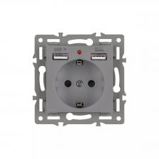 Механизм розетки с USB зарядкой Arlight SCT-MUAA-PL-GR (250V, 16A) 043735 Механизм розетки с USB зарядкой Arlight SCT-MUAA-PL-GR (250V, 16A) 043735