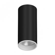 Потолочный светодиодный светильник LeDron SLC7392 SLC7392/12W Black-White 4000K Потолочный светодиодный светильник LeDron SLC7392 SLC7392/12W Black-White 4000K