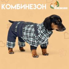 Комбинезон Men, размер XS (ДС 20 см, ОГ 30 см, ОШ 20 см), синий Комбинезон Men, размер XS (ДС 20 см, ОГ 30 см, ОШ 20 см), синий