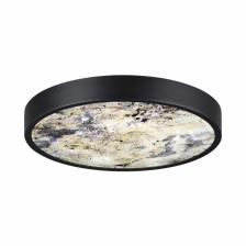 Настенно-потолочный светодиодный светильник Odeon Light Bergi 5064/24L Настенно-потолочный светодиодный светильник Odeon Light Bergi 5064/24L