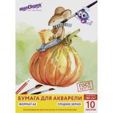 Папка для акварели ЮНЛАНДИЯ 111066 Папка для акварели ЮНЛАНДИЯ 111066