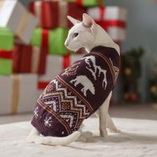 Petmax Свитер с медведем для кошек и собак, S, фиолетовый Petmax Свитер с медведем для кошек и собак, S, фиолетовый