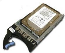 Жесткий диск IBM 42C0821 Жесткий диск IBM 42C0821