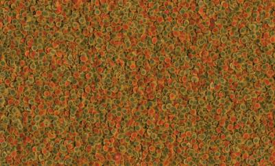 Корм для рыб PRO Energy корм-чипсы для всех видов рыб для доп.энергии 250мл – фото 15 Корм для рыб PRO Energy корм-чипсы для всех видов рыб для доп.энергии 250мл – фото 15