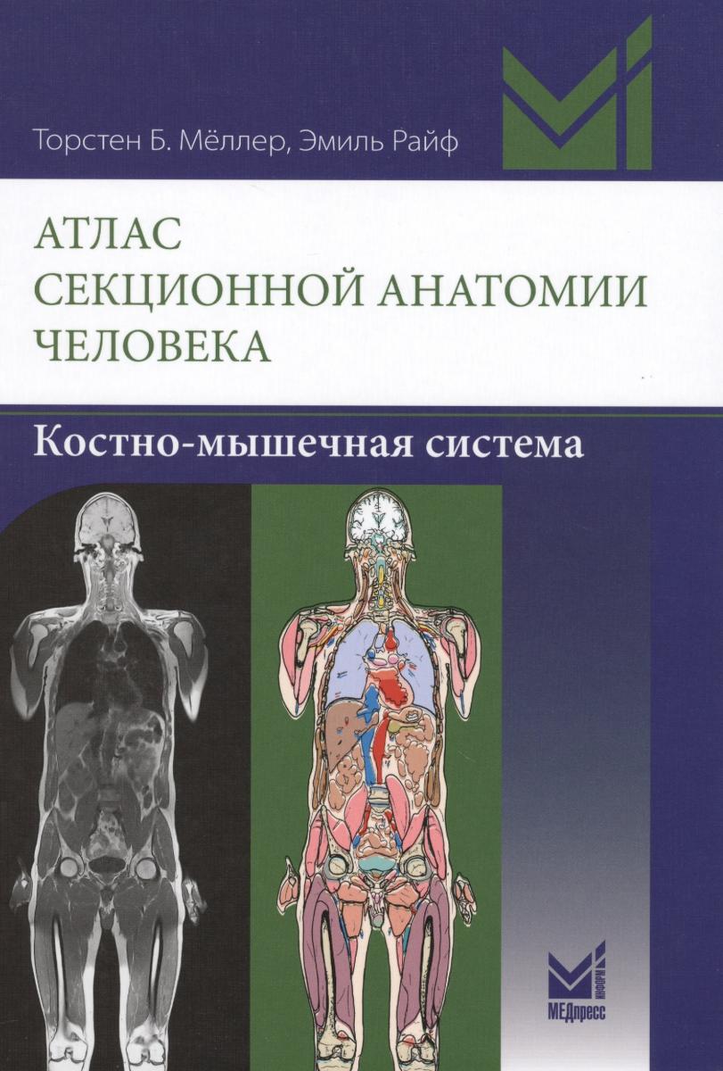 Секционная анатомия кт Секционная анатомия кт