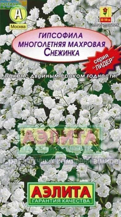 Гипсофила Семена Купить Москва