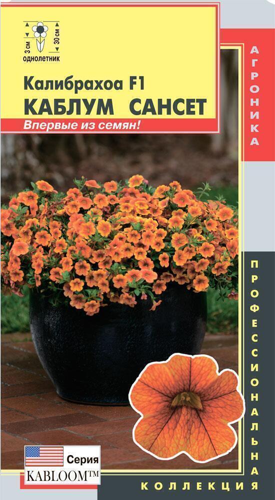 Калибрахоа Семена Купить Пермь