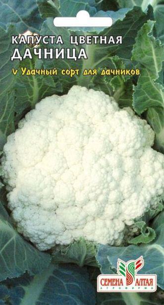Цветная капуста. Капуста цветная дачница отзывы. Цветная капуста дачница фото. Белокочанная и цветная капуста. Капуста сорт дачница.