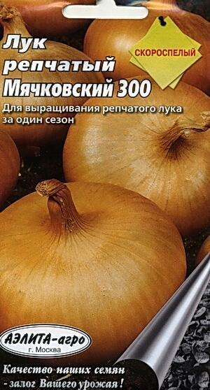 Лук Репчатый Классика Семена Купить