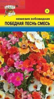 Семена Немезии Купить В Спб