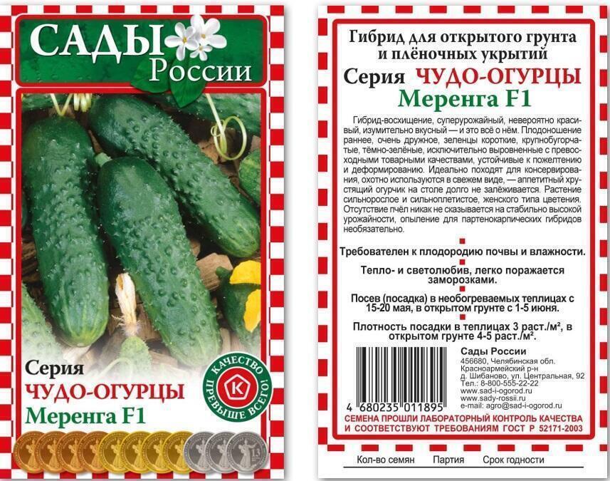 Огурец герман описание сорта фото отзывы садоводов