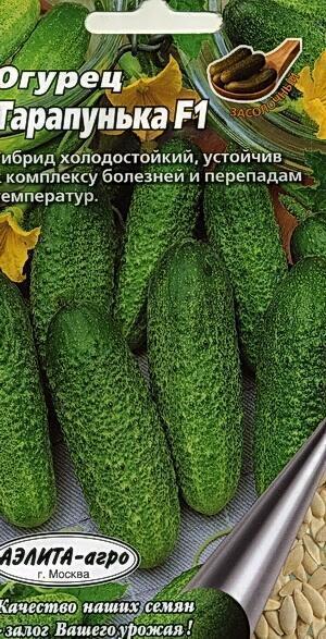 Огурец Страж Купить Семена