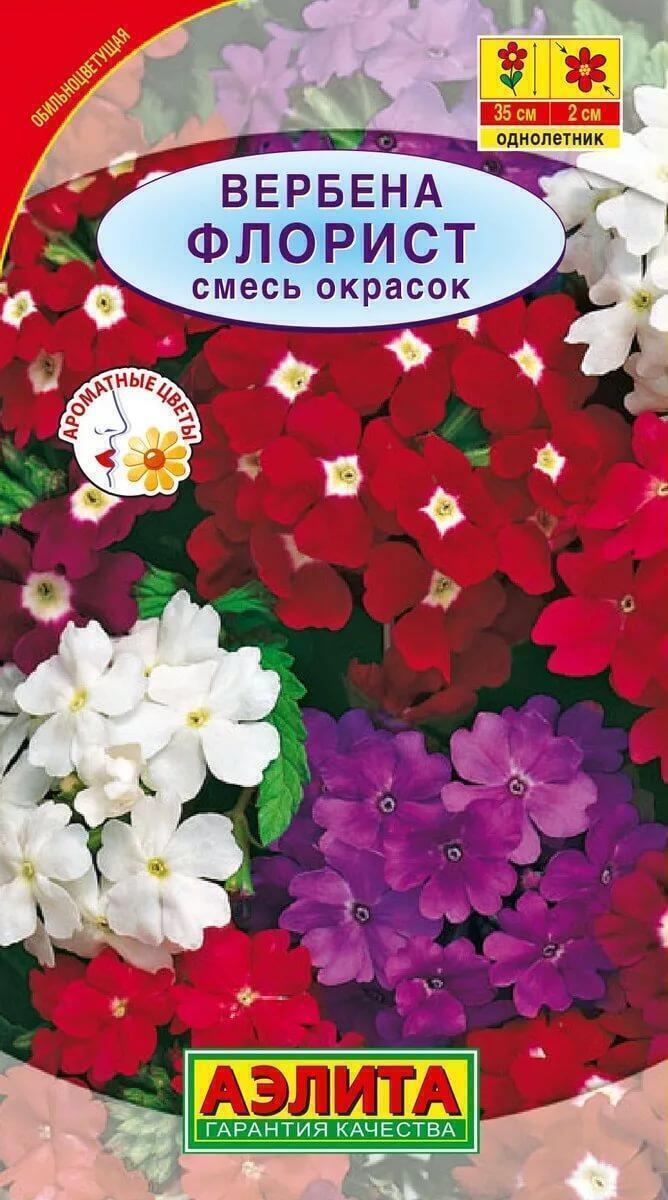 Вербена Лимонная Купить Семена