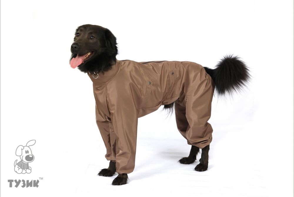 Комбинезон Тузик Для Собак Купить