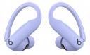 Беспроводные наушники Beats Powerbeats Pro 2 Ultraviolet (Фиолетовый)