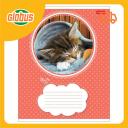 Тетрадь А5 в линию Hatber Котята в ассортименте