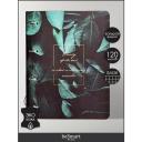 Тетрадь на кольцах общая Infolio Study "Beauty", А4 на 120 листов в клетку, жесткая обложка из искусственной кожи