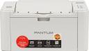 Принтер лазерный Pantum P2518, серый, черно-белая печать, А4