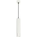 Подвесной светильник LED SP-SPICY-HANG-R70-13W Day4000 (WH, 50 deg, 230V) (Arlight, IP20 Металл) 033680