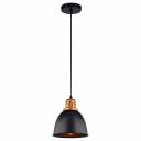 Подвесной светильник Arte Lamp EURICA A4245SP-1BK