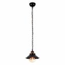 Подвесной светильник ARTE LAMP GRAZIOSO A4577SP-1CK