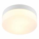 Потолочный светильник ARTE LAMP A6047PL-1WH