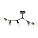 Потолочная люстра Arte Lamp Flex A6206PL-5CC