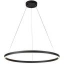 Подвесная люстра с пультом светодиодная (14001/1P Black) Indigo Galass V000036L кольцо