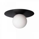 Потолочный светильник 10120/250C Loft It Ufo Black в форме шара