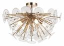 Потолочная люстра Lussole Shelby LSP-8386