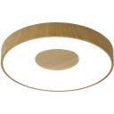 Потолочный светильник светодиодный с пультом регулировкой цветовой температуры и яркости Mantra Coin 7568