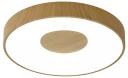 Потолочный светодиодный светильник Mantra Coin 7568