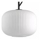 Подвесной светильник Odeon Light Pendant Roofi 4754/1