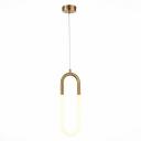 Подвесной светильник светодиодный ST Luce Mofisto SL1579.303.01 кольцо