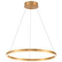 Подвесной светодиодный светильник с пультом Stilfort Planetary 4005/05/01P кольцо