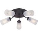 Потолочная люстра с плафоном из пластика Vitaluce V3762-1/5PL