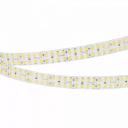 Светодиодная лента Arlight 24W/m 320LED/m 2835SMD дневной белый 5M 032602(2)