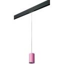 Трековый светильник однофазный 220V Lightstar Rullo PRORP432