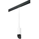 Трековый светильник однофазный 220V Lightstar Rullo PRORP648687