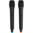 Система беспроводных микрофонов Tesler WMS-320