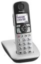 DECT телефон Panasonic KX-TGE510RUS серебристый