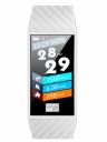 Смарт браслет Smarterra Fitmaster Pulsar White/White (FMPWT)