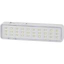 Аварийный светильник светодиодный ЭРА DBA-101-0-20