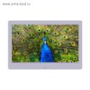 Цифровая фоторамка Digma PF-1043, 10.1", IPS, 1280x800, пластик, ПДУ, видео, белая