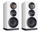 Wharfedale EVO 4.2 White Oak